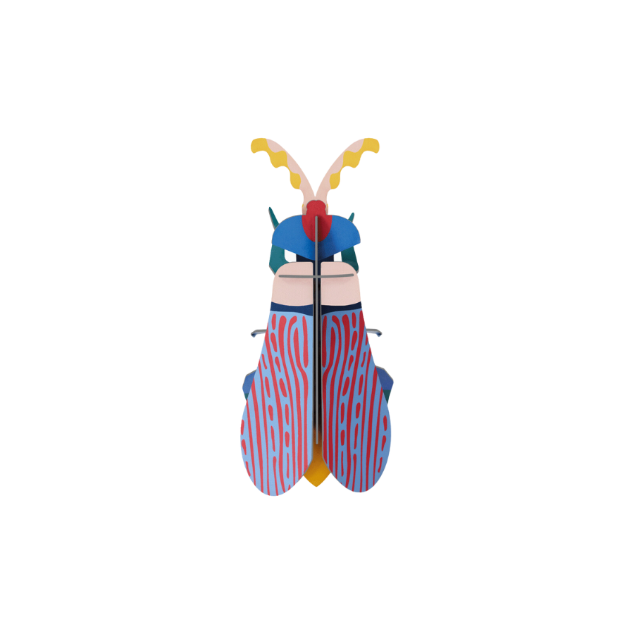 Striped Wing Beetle  Wall Decoration- Small