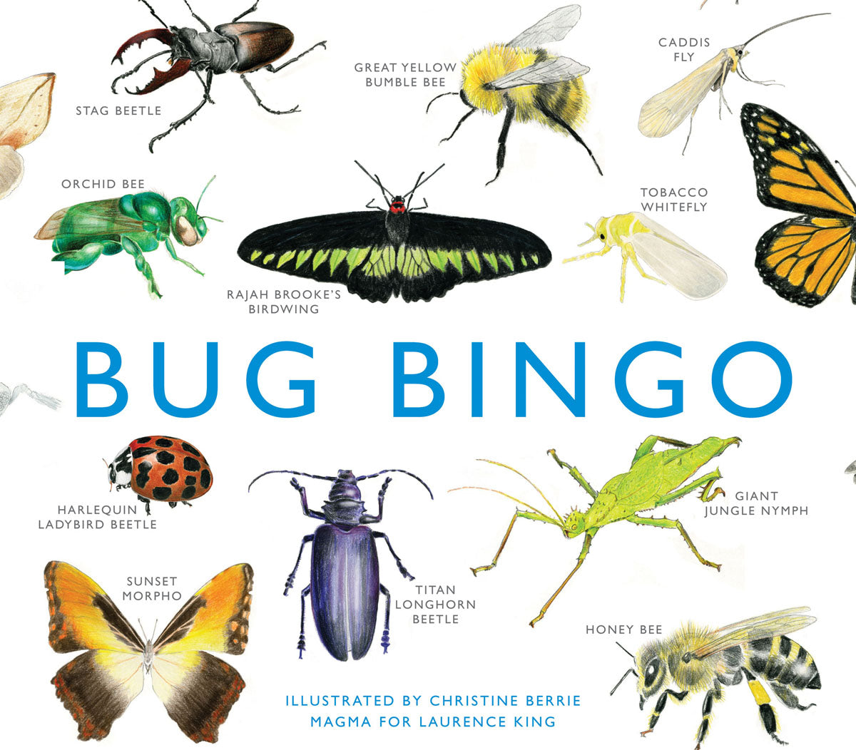 Bug Bingo family game