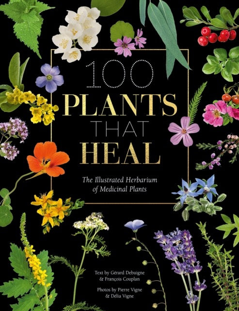 Black Book Cover with brightly coloured plant illustrations
