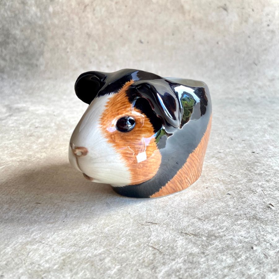 Guinea Pig Face Egg Cup- Tri Colour