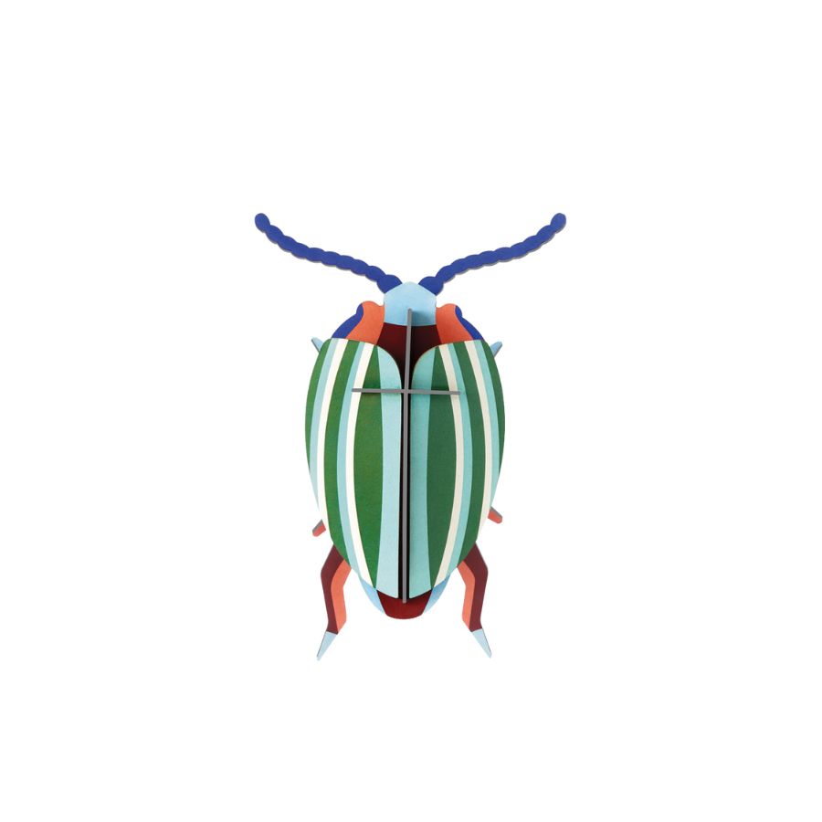 Rainbow Leaf Beetle