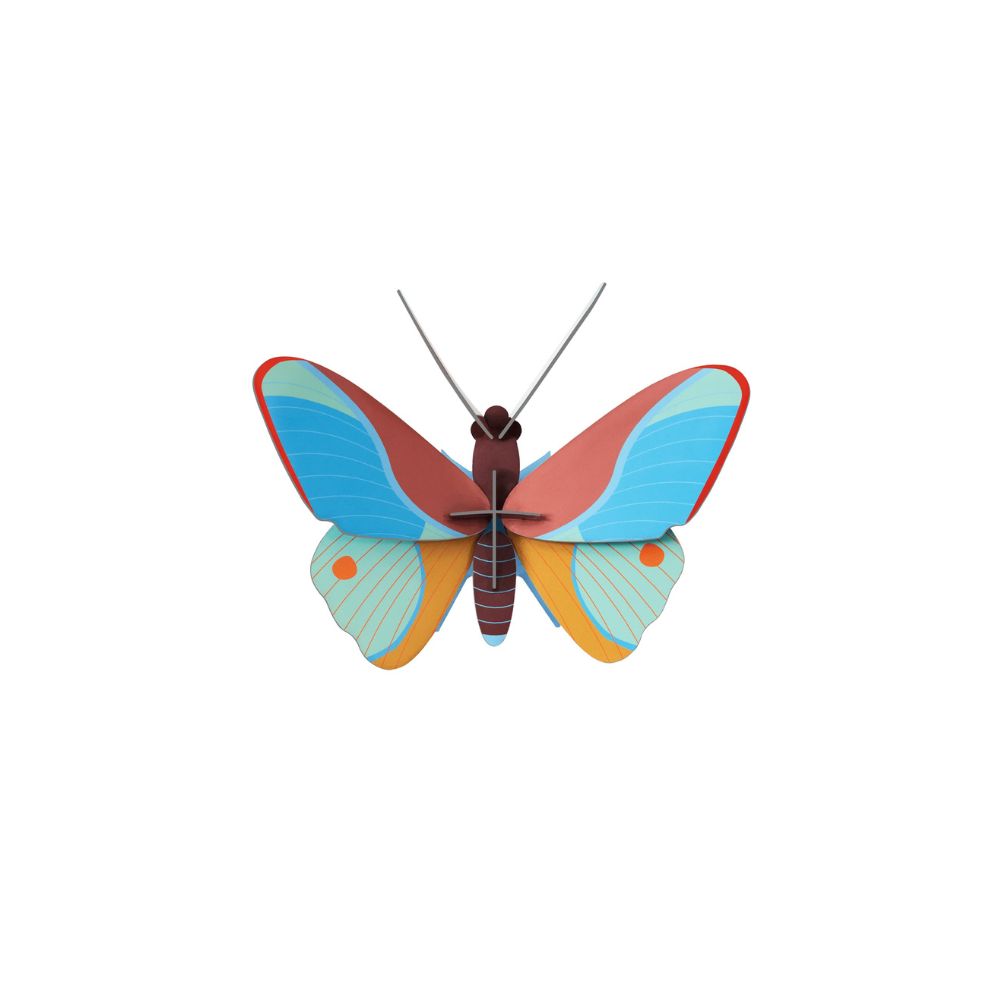 Claudina Butterfly - Wall Decor