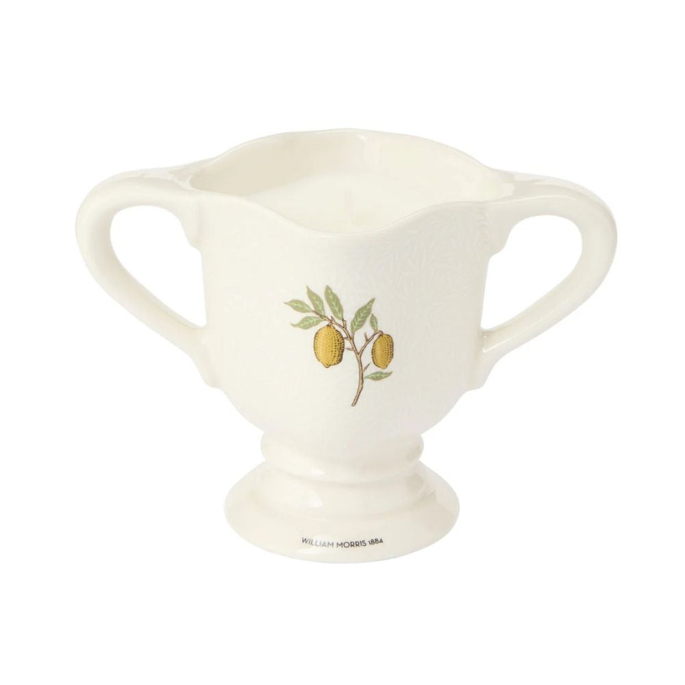 William Morris at Home Scented Indoor and Outdoor Candle