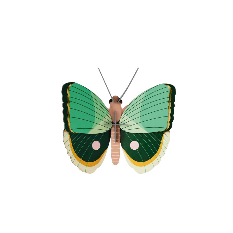 Fern Striped Butterfly-small