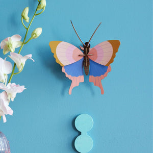 Gold Rim Butterfly - Wall Decor