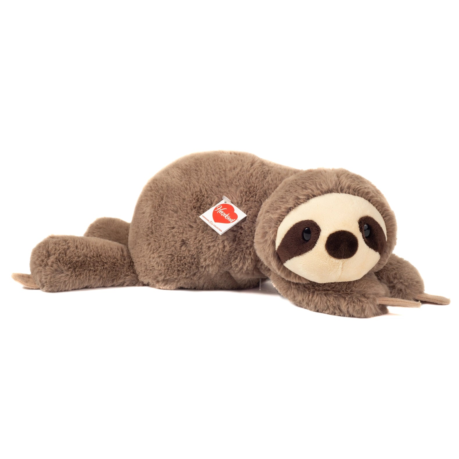 Sloth Soft Toy