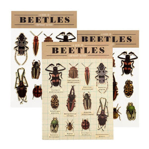 Beetles - Temporary Tattoos