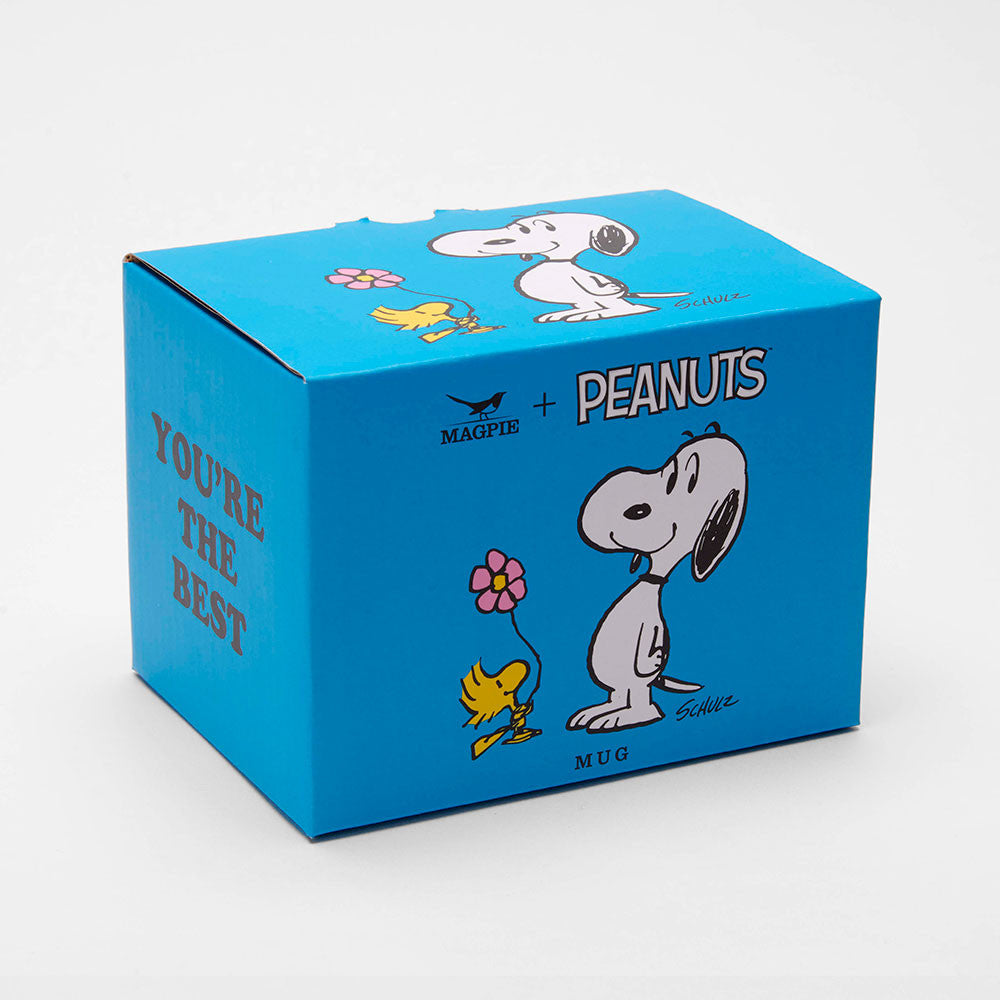 Blue box with Snoopy and Woodstock design on a white background