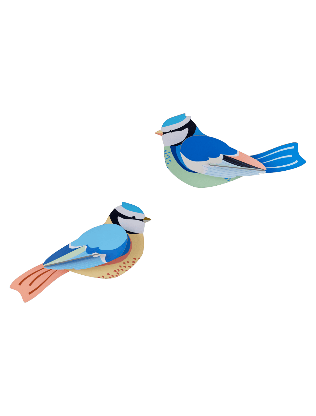 A pair of Blue Tits Wall Decor