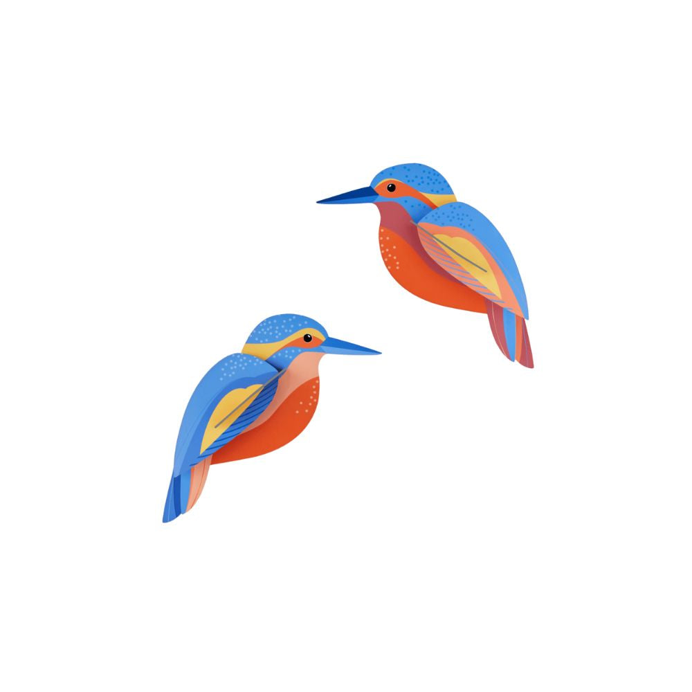 A Pair of  Kingfishers - Wall Decor