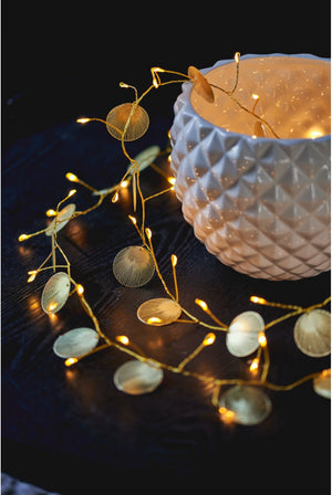 Palmi String living Lights