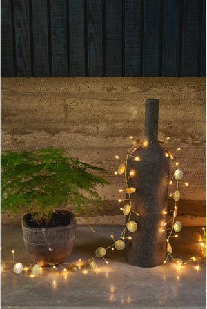 Palmi String living Lights