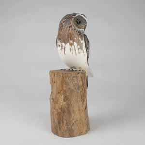 Little Owl figurine perched on a wooden block against a gray background