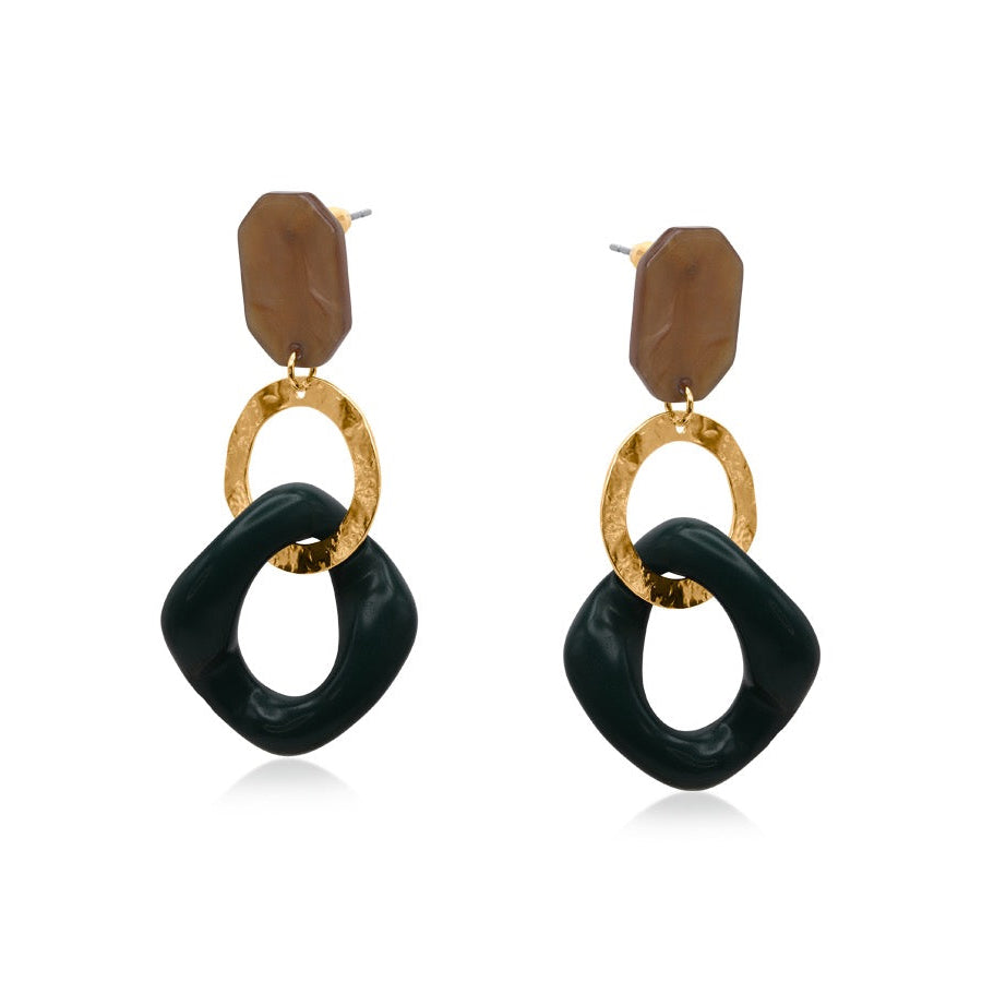 Pair of earrings with gold and black rings on a white background