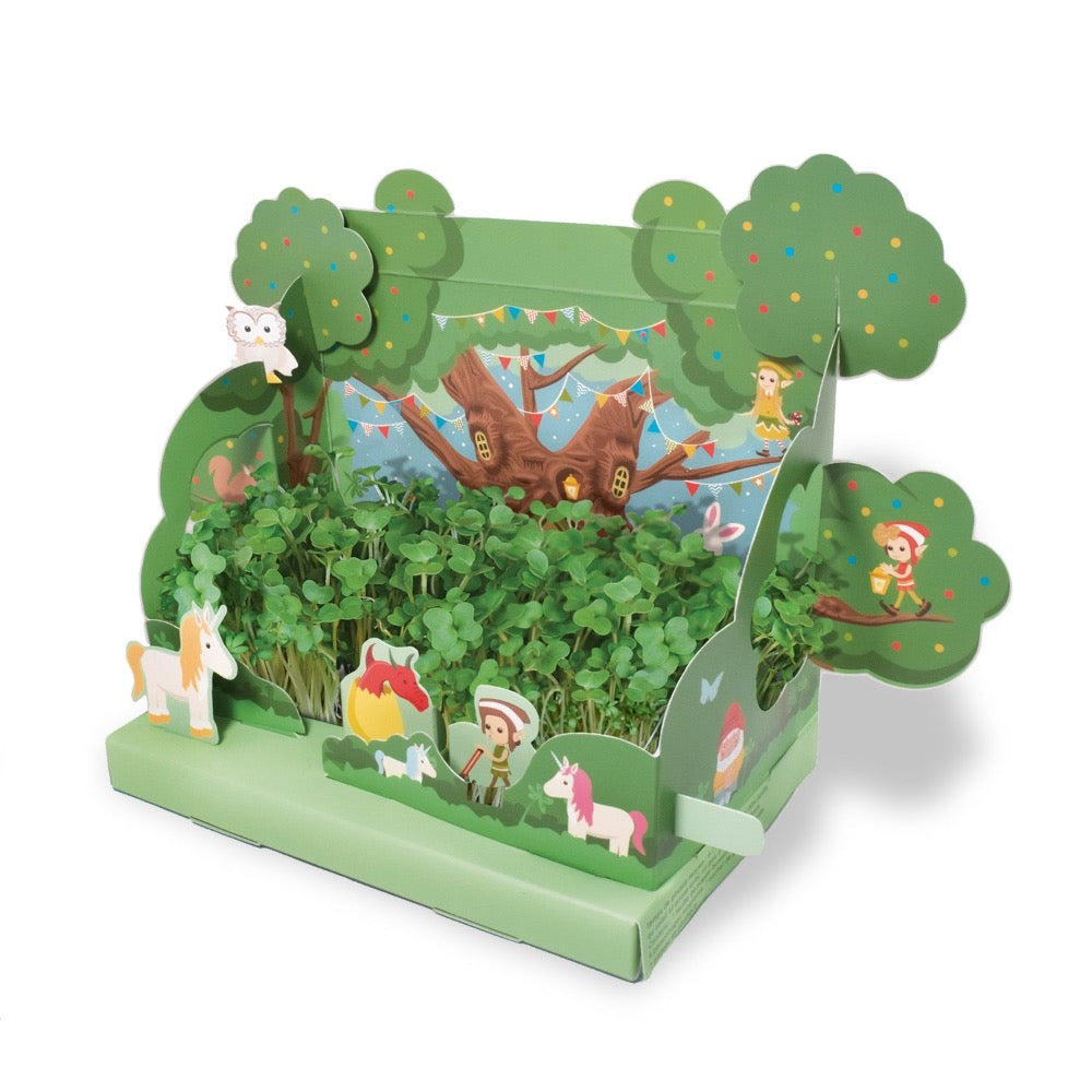 Grow Your Own Mini Magical Garden