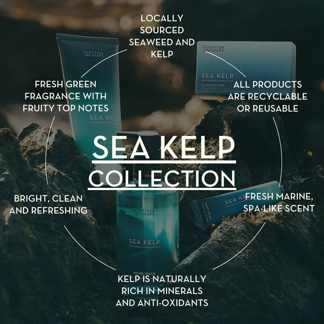Sea Kelp Collection products with descriptive text on a natural background
