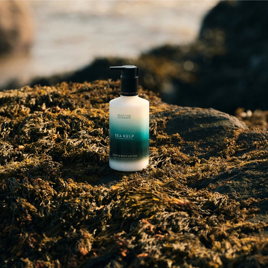 Sea Kelp Hand & Body Lotion