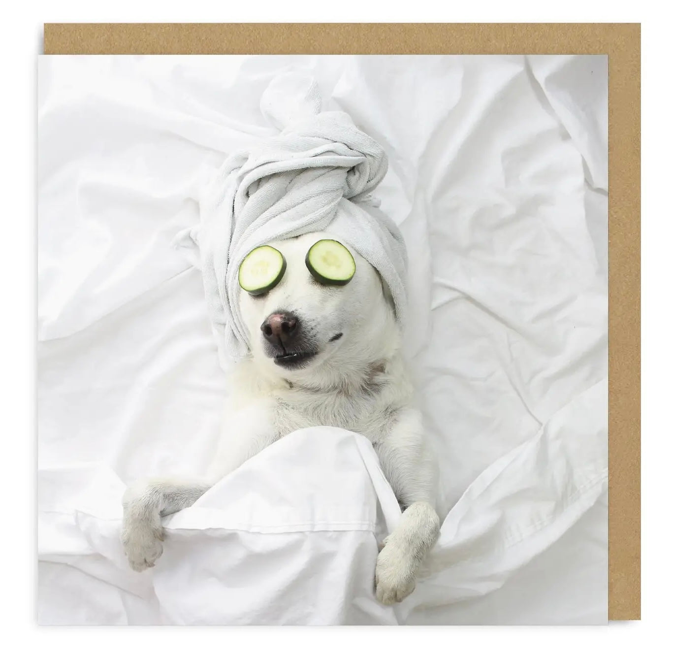 Pampered Pooch Greeting Card
