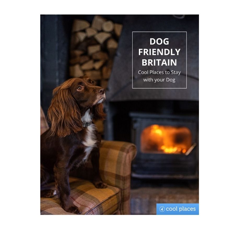 Dog Friendly Britain- Cool Places to stay with your dog