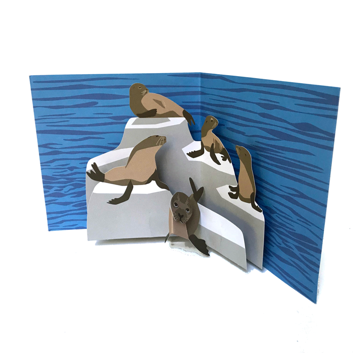 Sea Lion - Pop-Up 3D Greetings Card