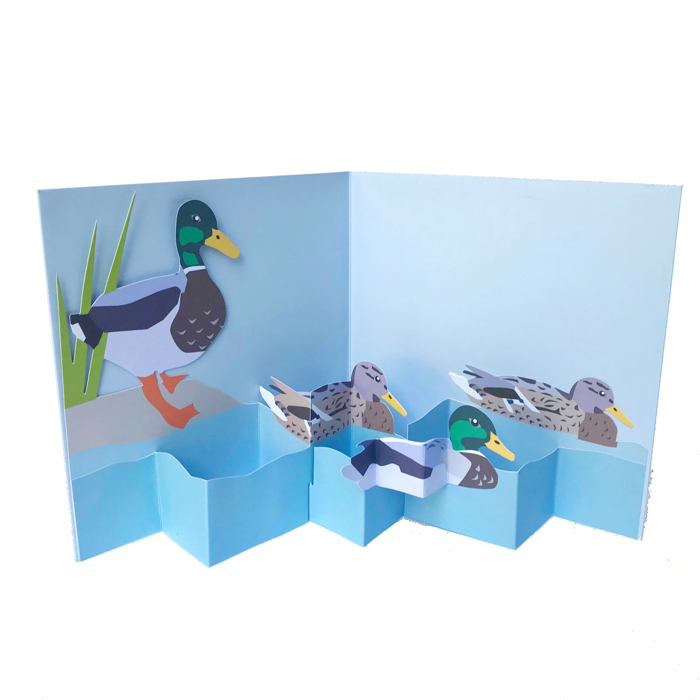 Ducks On the Water - Pop-Up 3D Card