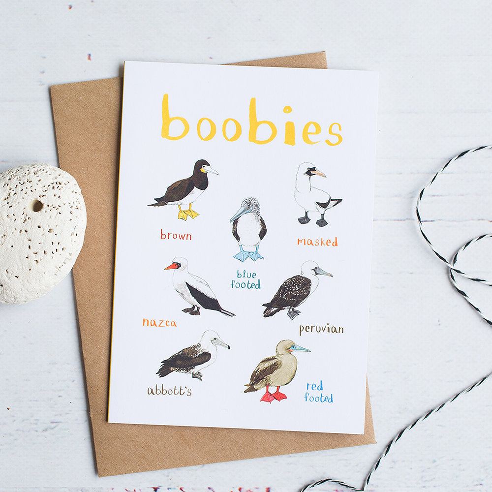 Birds Card- Boobies