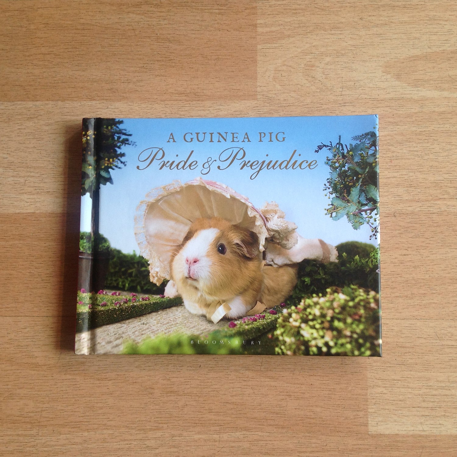 Guinea Pig gifts, the classic Jane Austen story re-told with Guinea pigs!