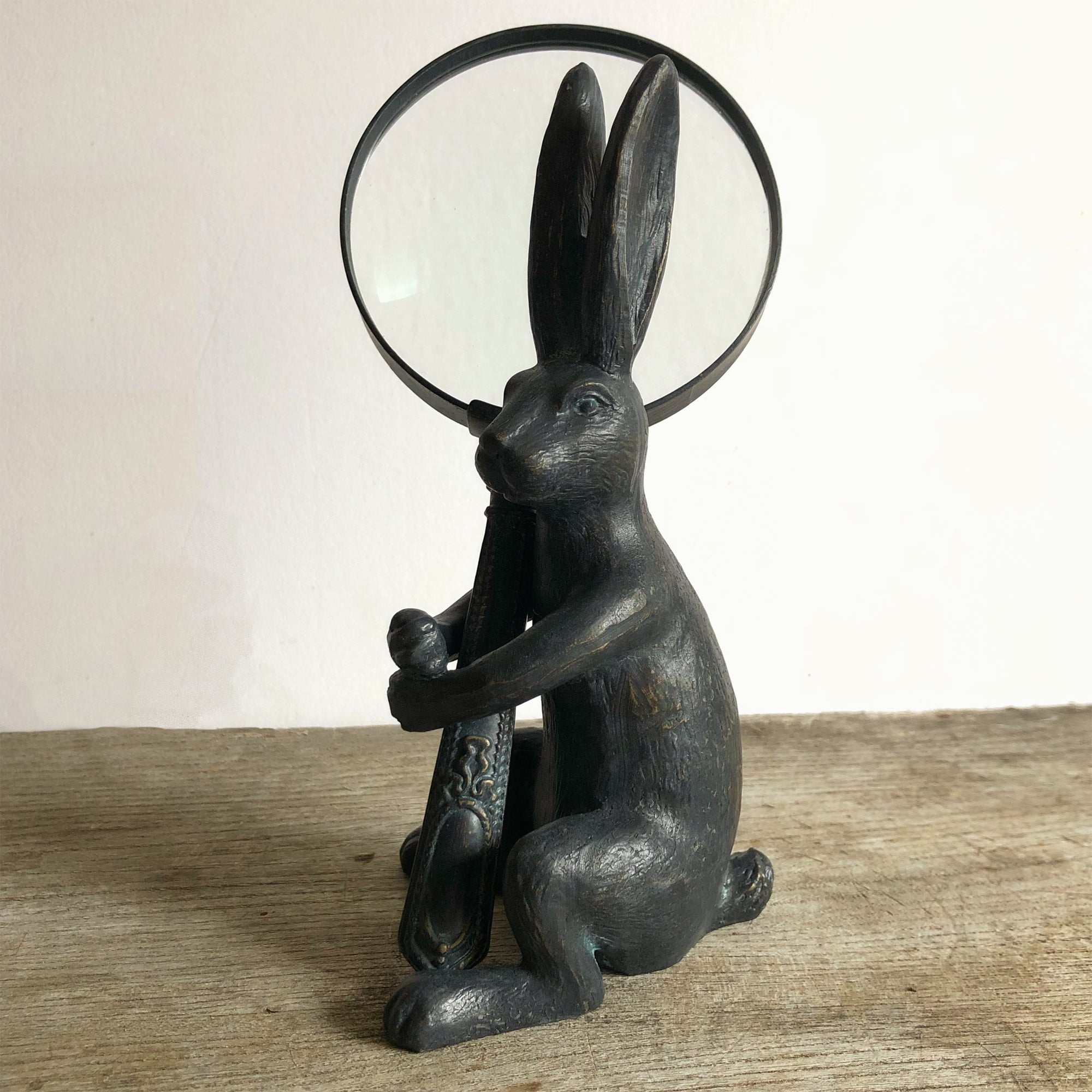 Hare Magnifying glass