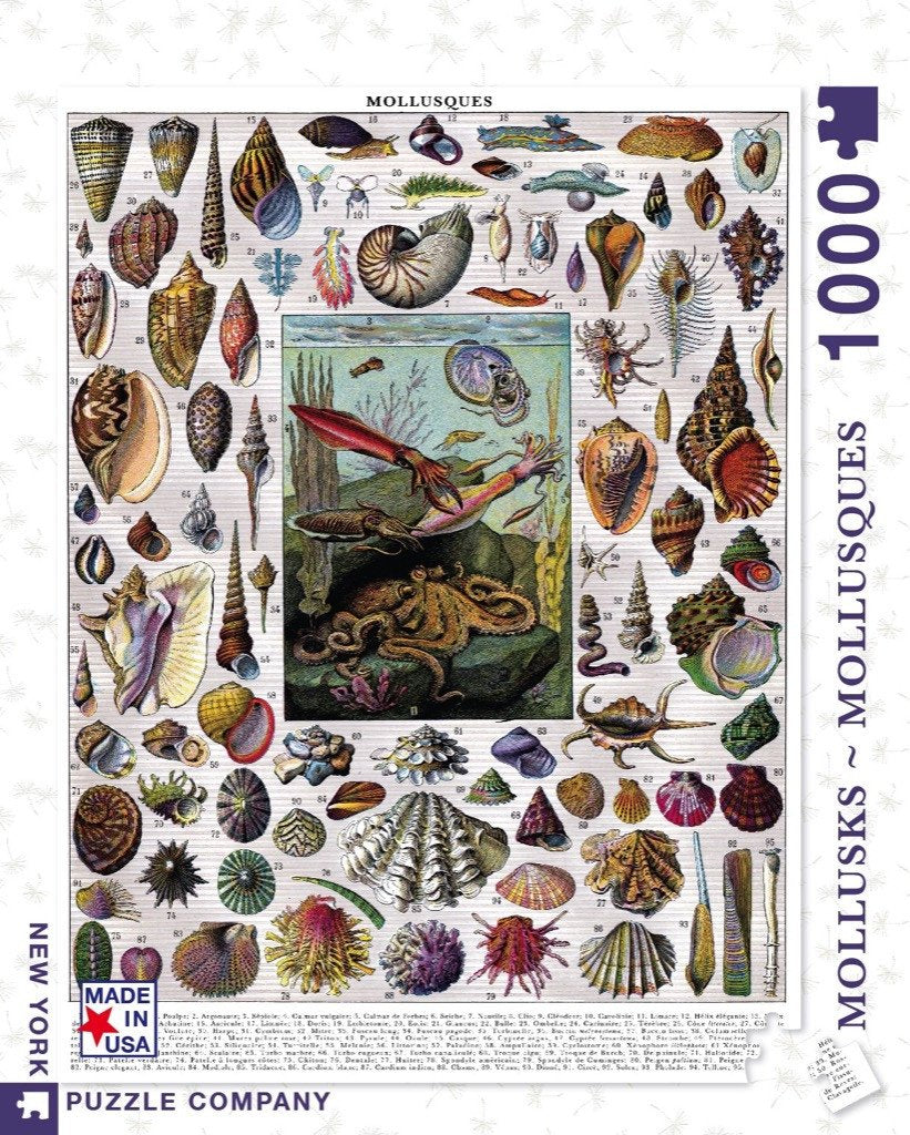 Vintage style Shells 1000 piece puzzle