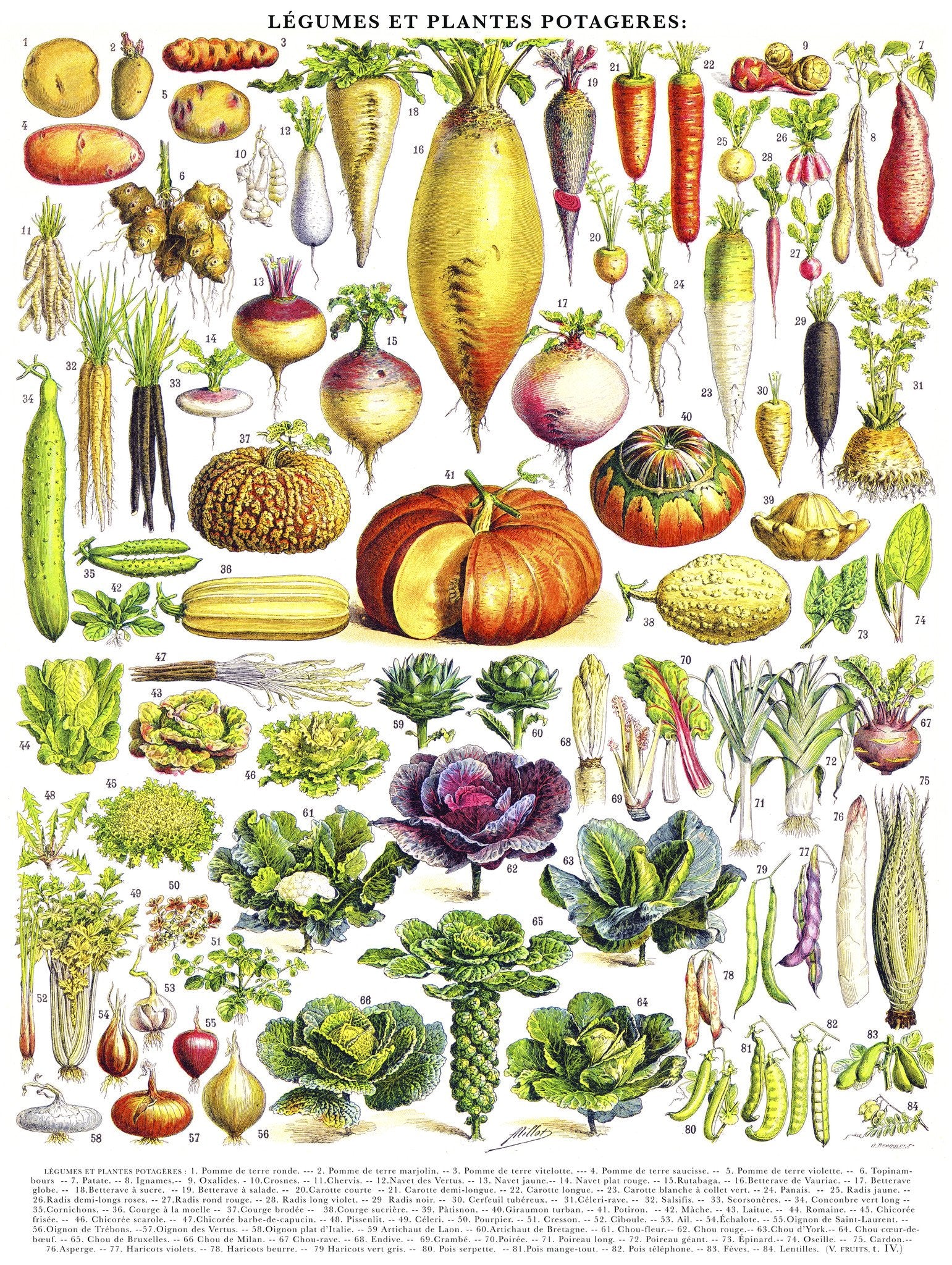  1000 piece Vegetable puzzle detail