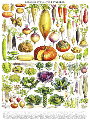  1000 piece Vegetable puzzle detail