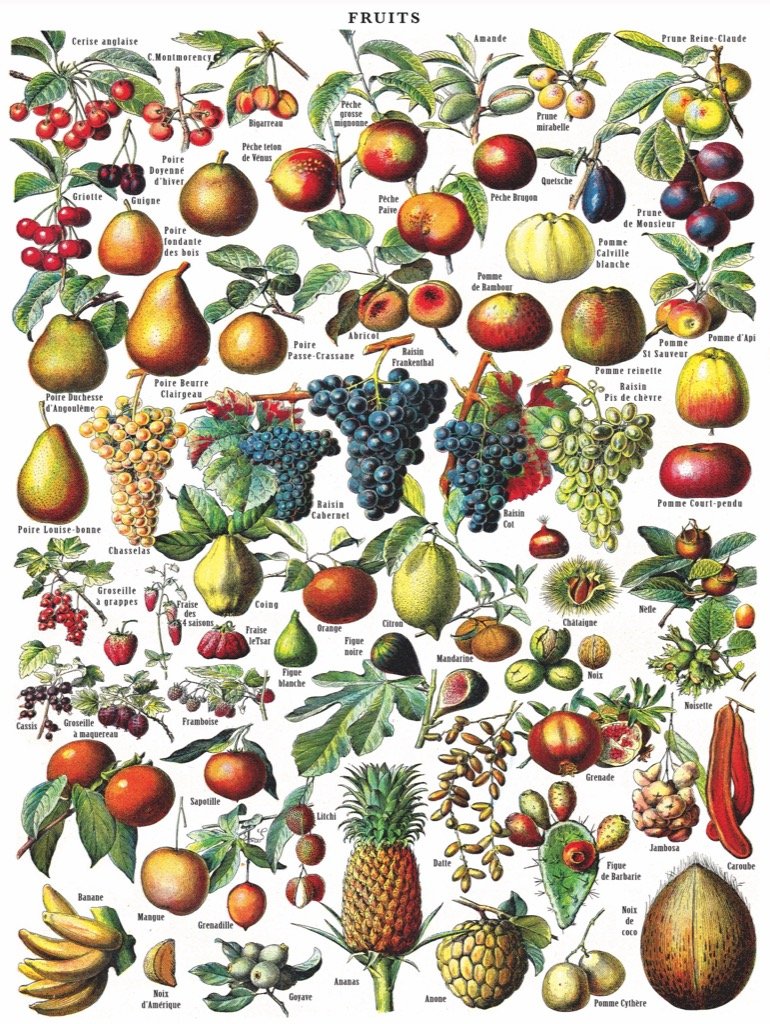 Fruits Jigsaw Puzzle - 1000pc