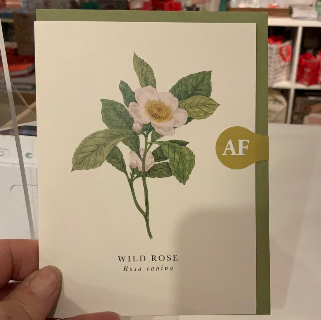 BK04 wild Rose Card