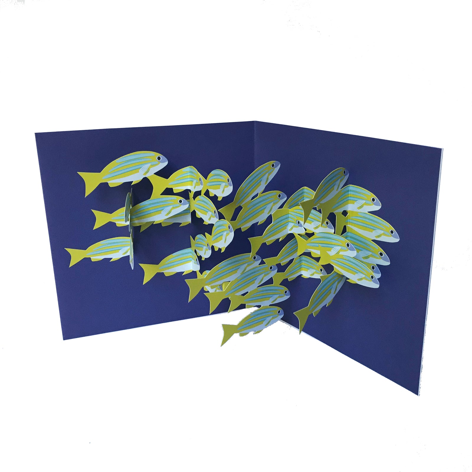 School of Fish Pop Up 3D card