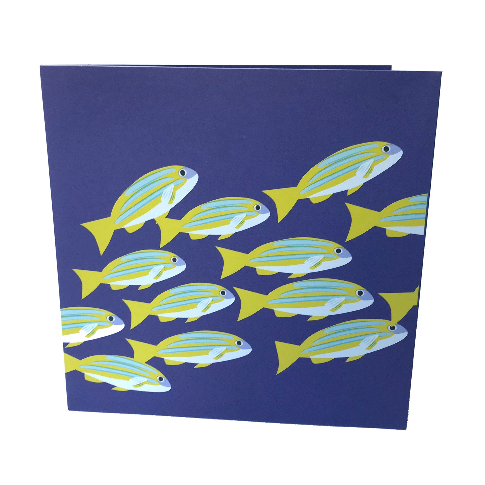 School of Fish Pop Up 3D card